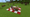 Der MINECRAFT-Kuchen – ein Videospielrezept